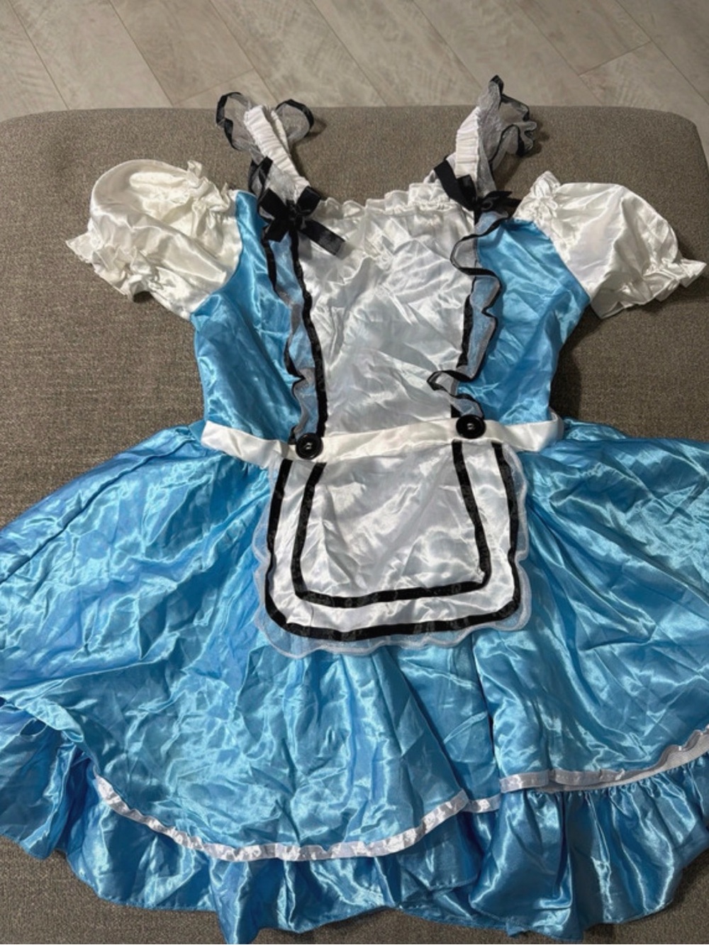 Women’s Blue and White Storybook Costume Dress with Apron